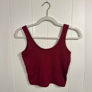 EARTHBOUND Ribbed Burgundy Crop Top